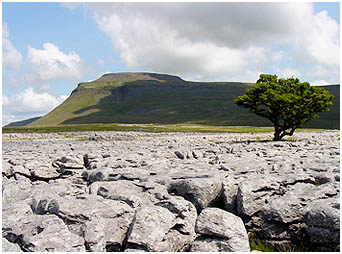 ingleborough